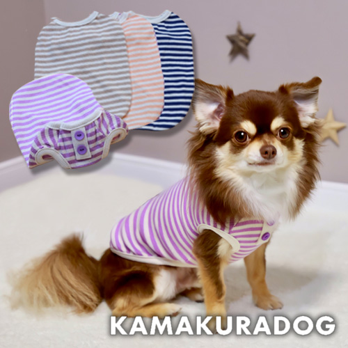 キャンディボーダータンク