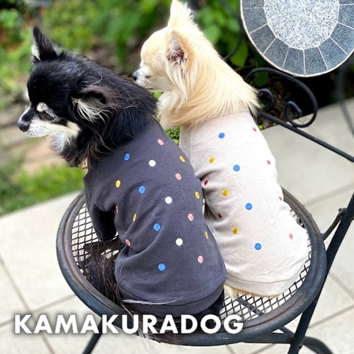 マルチドットシャツ