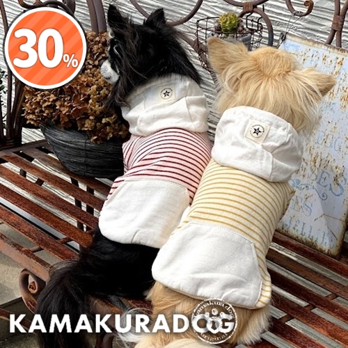 ボーダーフーデットパーカー