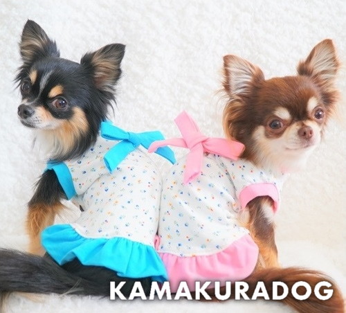 可愛らしい小花柄