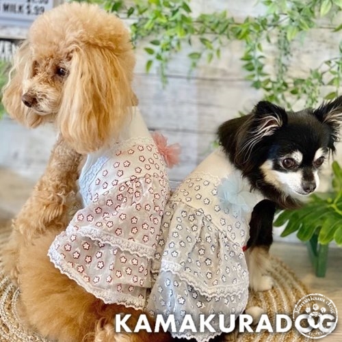 シアー小花ワンピース