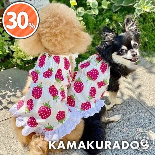 可愛い小型犬の洋服通販 鎌倉ドッグ 苺のワンピース