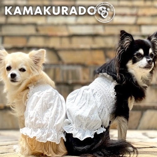 ホワイトシフォンワンピース