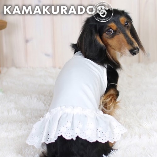 No.119  犬服ハンドメイド　背中開きワンピース　ホワイト 犬服ハンドメイド 背中開きワンピース 丸襟 フリル袖 dog