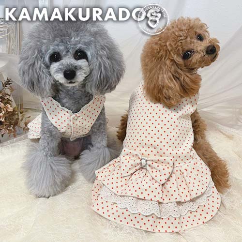 レディドットワンピース