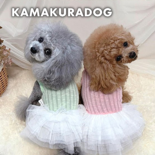 ベアチュチュワンピ