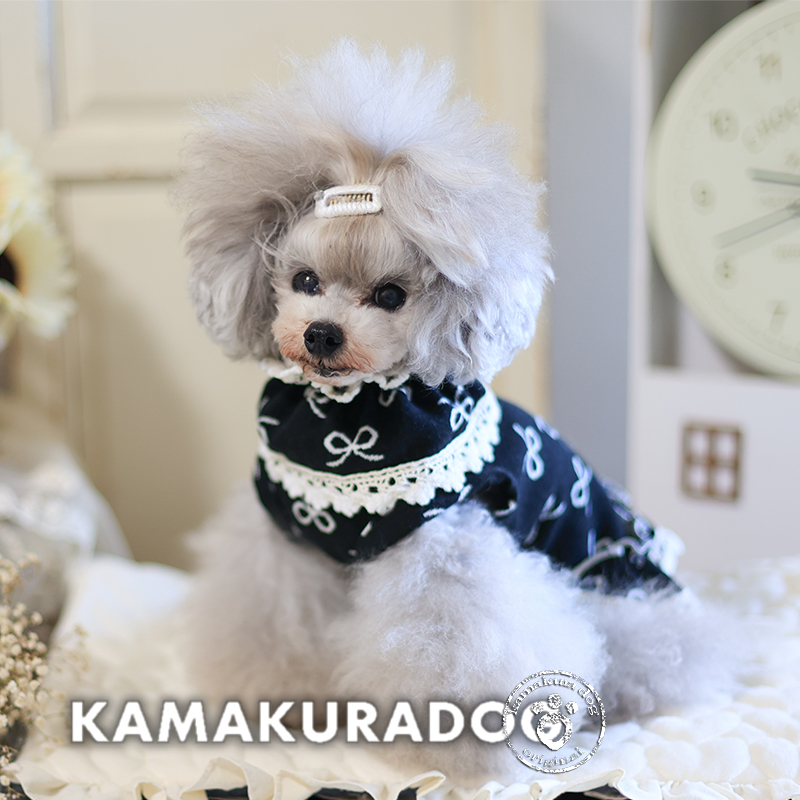 リボンドールワンピース・ケープ 可愛い小型犬の洋服通販 鎌倉ドッグ