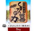 熊本県産 新米　くまさんの力　無洗米 米