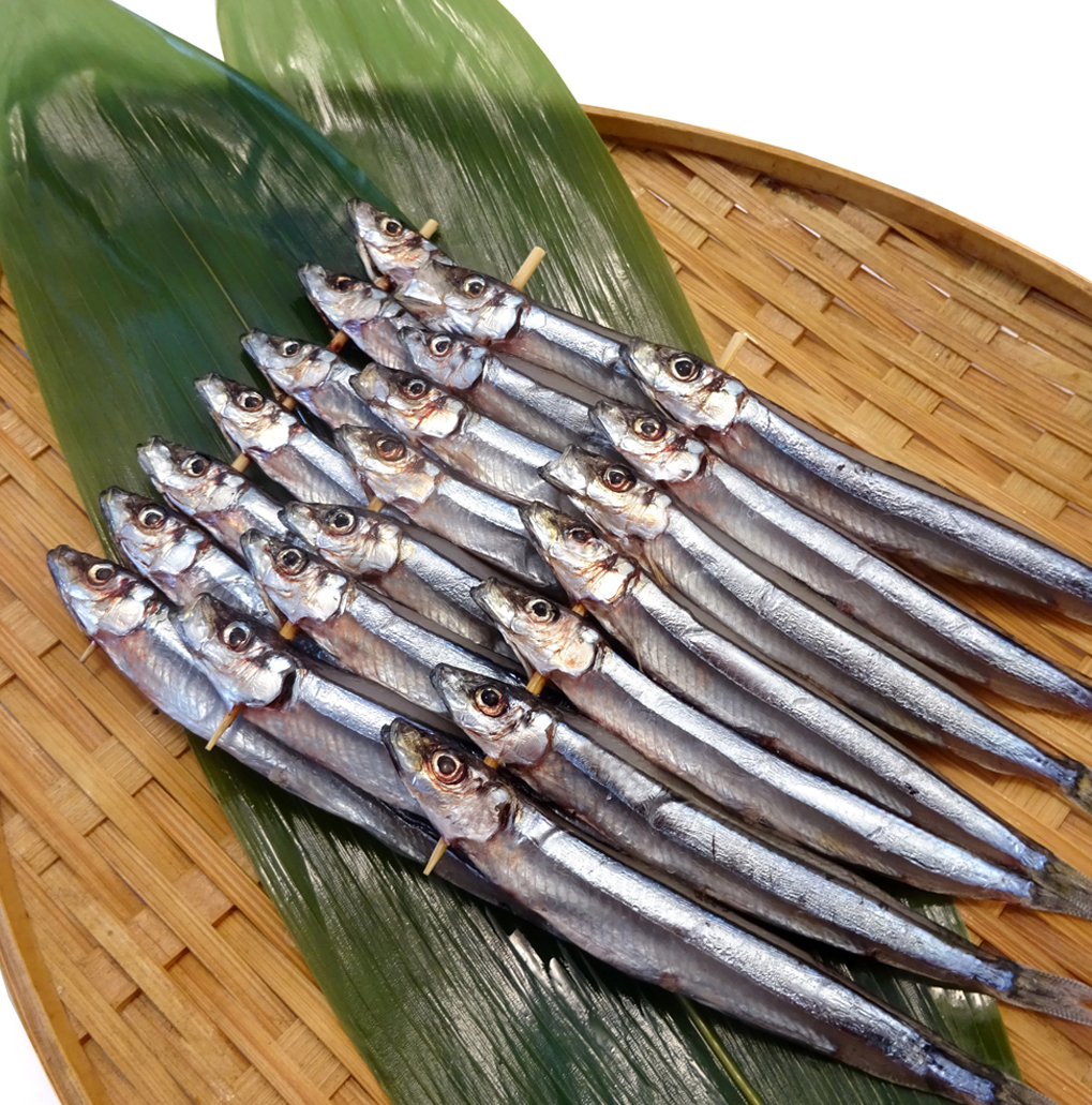 きびなご　目刺し