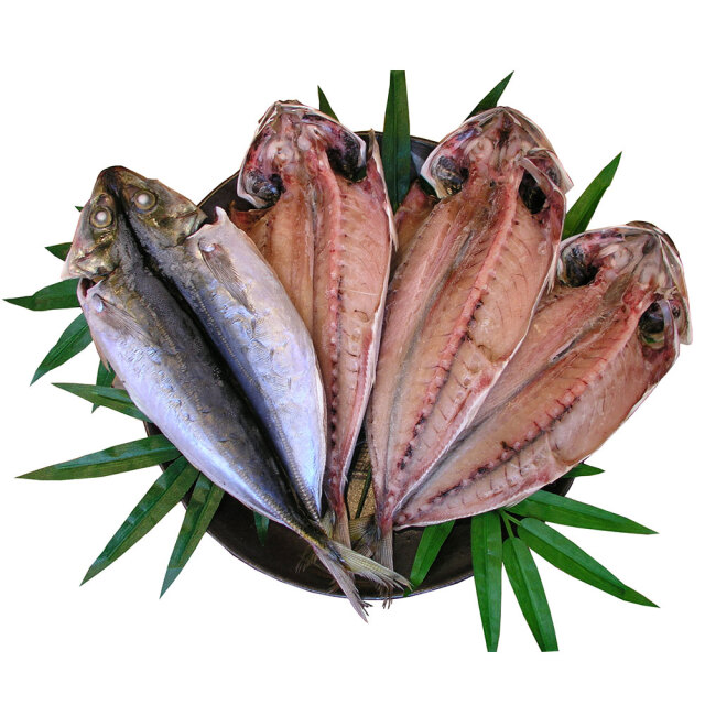 あかぜむろあじ