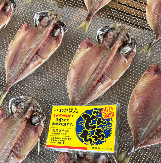 どんちっちあじ