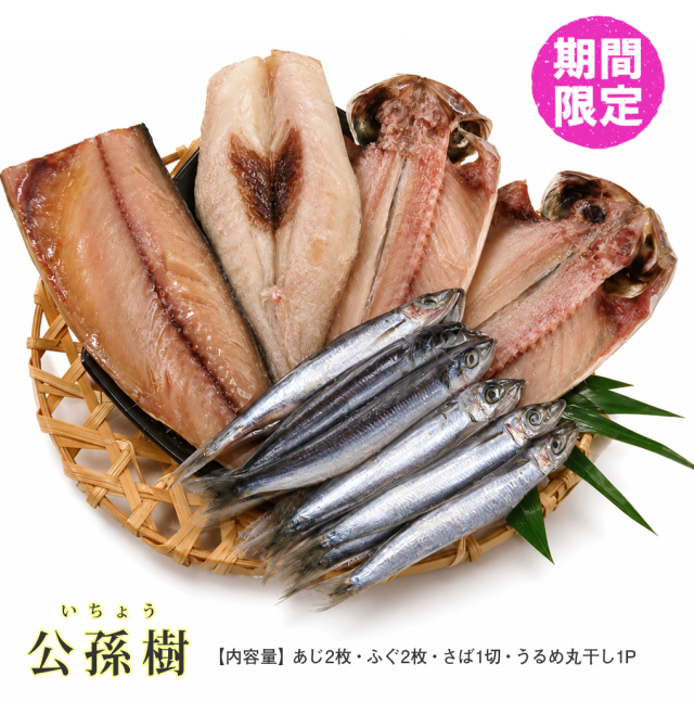 敬老の日「公孫樹」