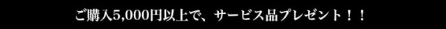 サービス品プレゼント2024