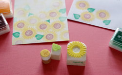 ひまわりセット大1