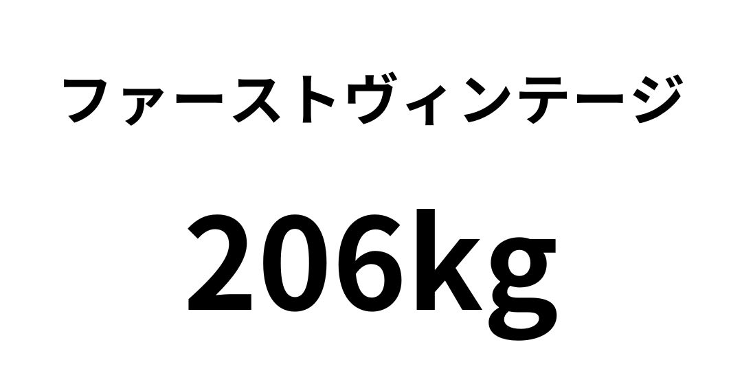 fa-suto206.jpg