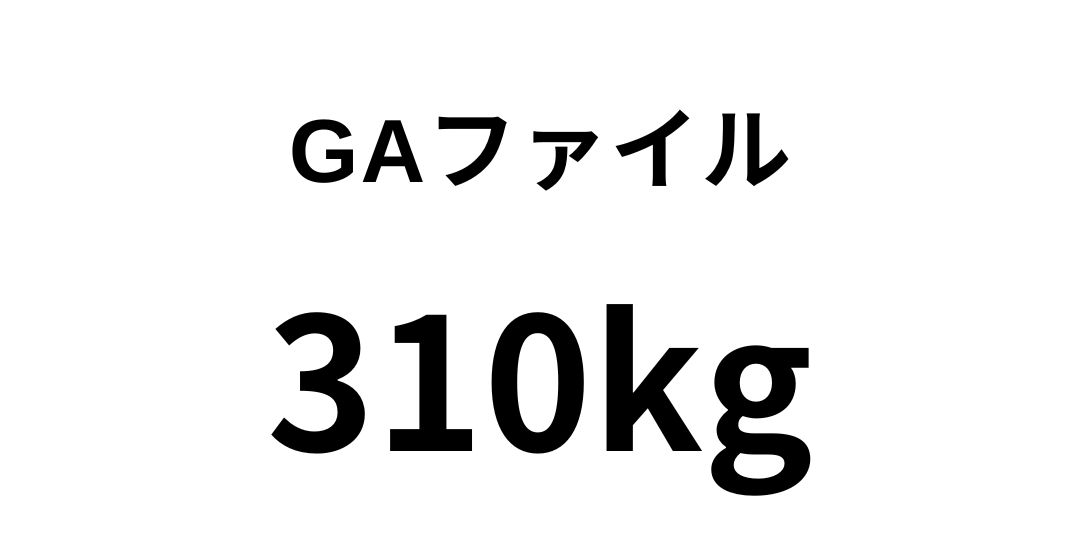 gafairu310.jpg