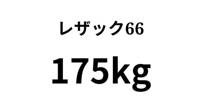 66-175kg.jpg