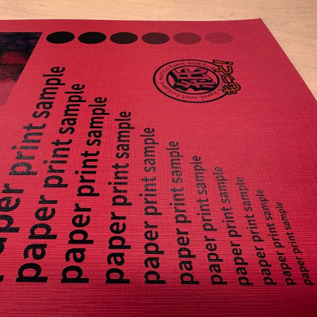 db-hm2012-7.jpg