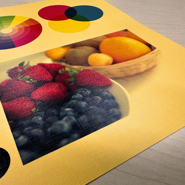 db-hm2014-5.jpg