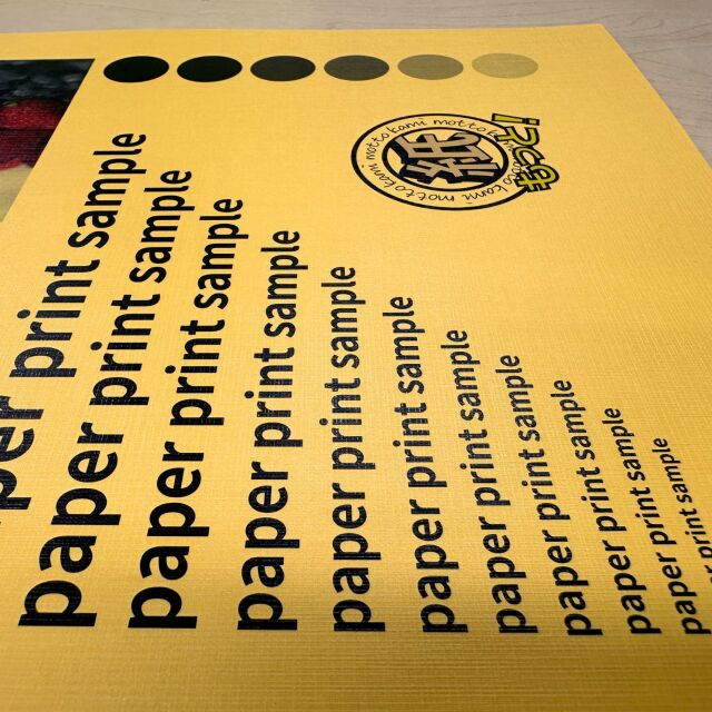 db-hm2014-7.jpg