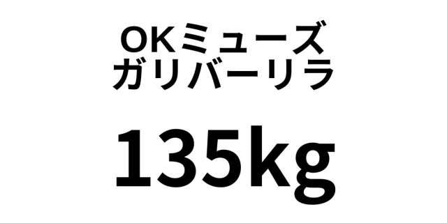 A to Z｜アルファベットで始まる銘柄一覧｜紙もっと