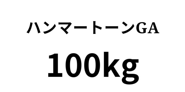 hannma100.jpg