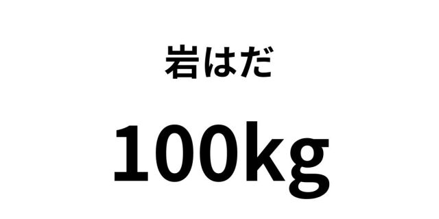 iwahada13.jpg