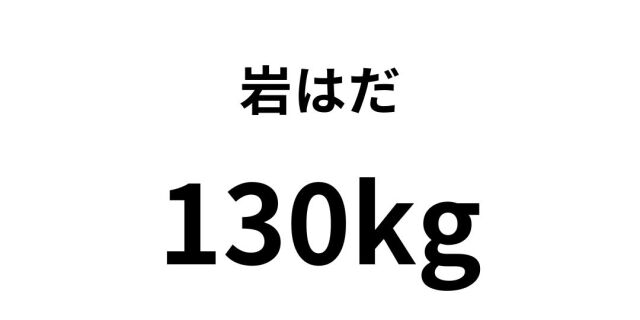 iwahada14.jpg