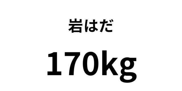 iwahada15.jpg