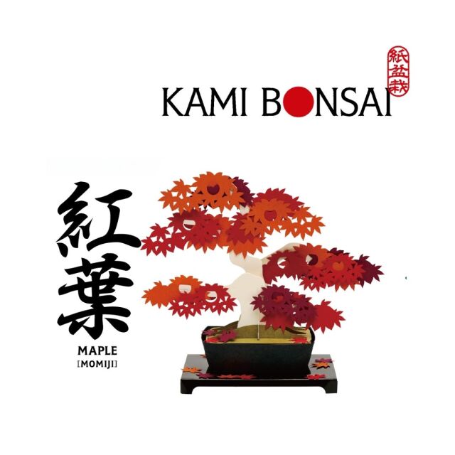 kami-bonsai-momiji.jpg