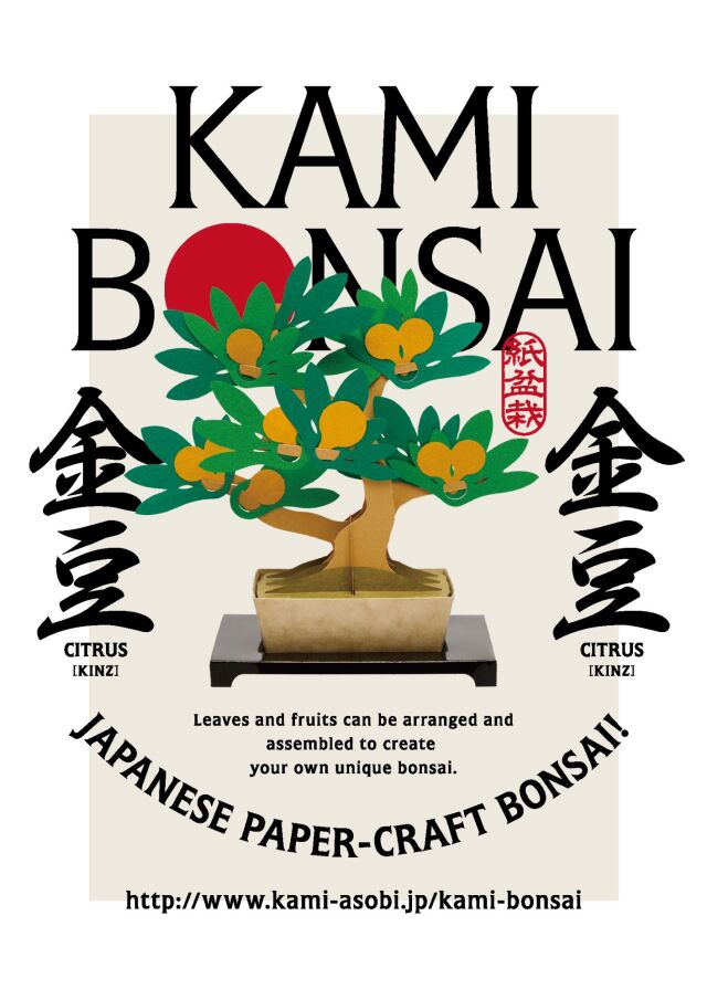 kami-bonsai-pkg-kinzu.jpg