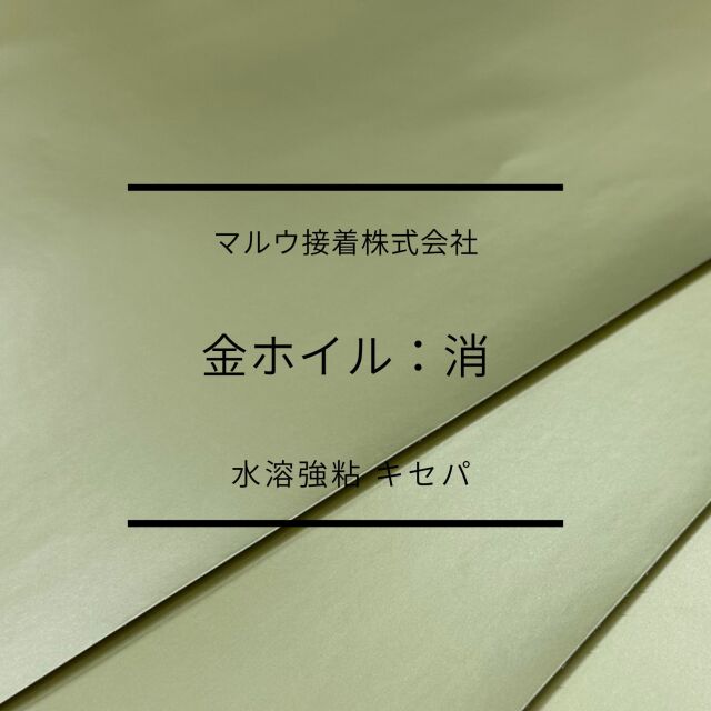 kesikinn-hoiru-taxtuku1.jpg