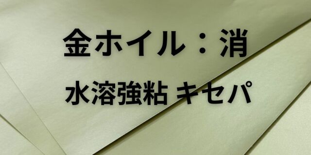 kesikinn-hoiru-taxtuku10.jpg