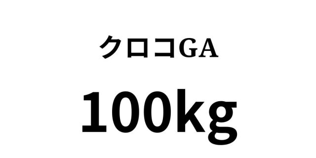 クロコGA 100kg｜ワニ革調エンボスが際立つ高級ファインペーパー｜紙