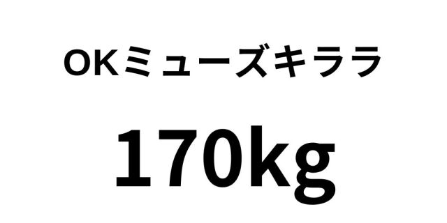 OKミューズきらら｜繊細な地合いとほのかな輝きが和の趣を感じさせる