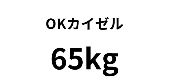okkaizeru10.jpg