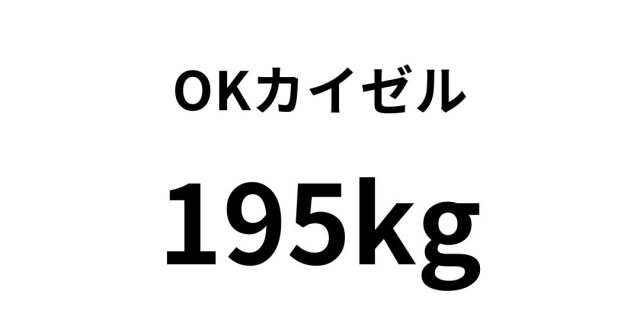 okkaizeru14.jpg