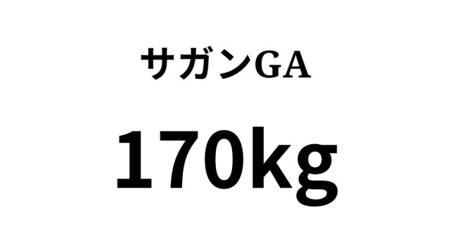 sagan170.jpg