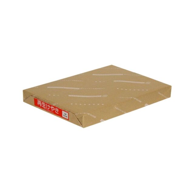 saiseikeyaki-A3-500pcs.jpg