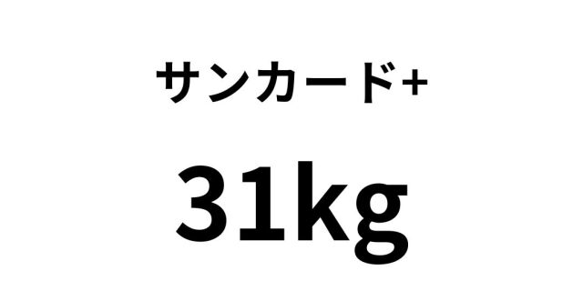 sannka-do6.jpg