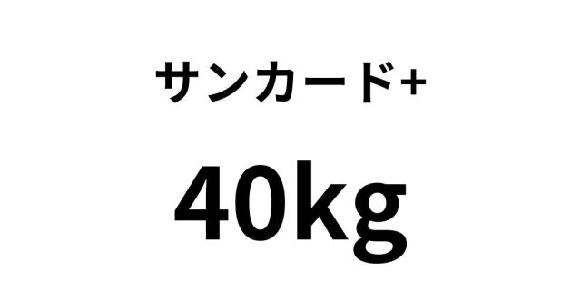 sannka-do8.jpg