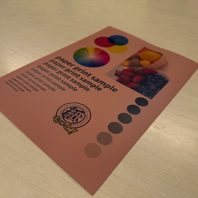sb-h1010-3.jpg