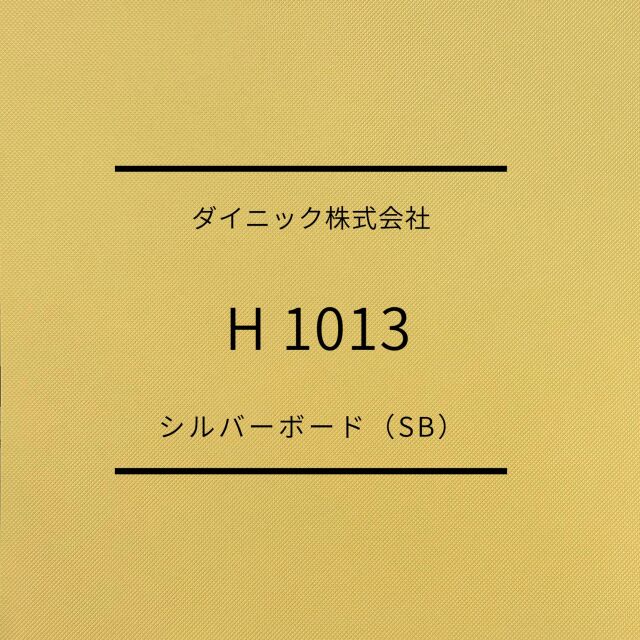 sb-h1013-1.jpg