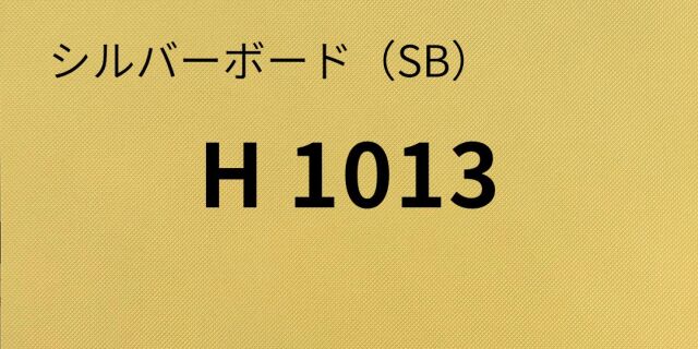 sb-h1013-8.jpg