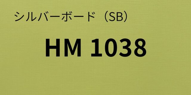sb-hm1038-8.jpg