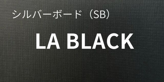 シルバーボード(SB) LA BLACK 200kg｜紙もっと