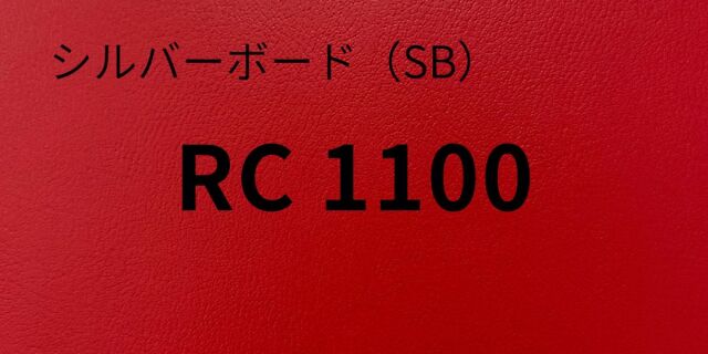 sb-rc1100-8.jpg