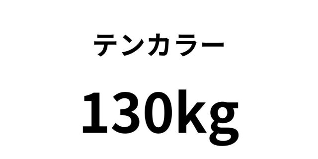 テンカラー 色紙 カード紙