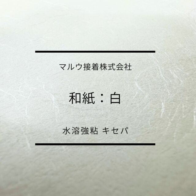 washi-siro1.jpg