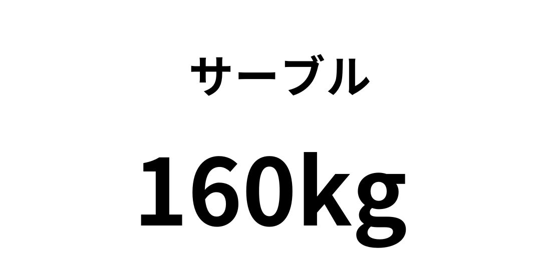 sa-buru160.jpg
